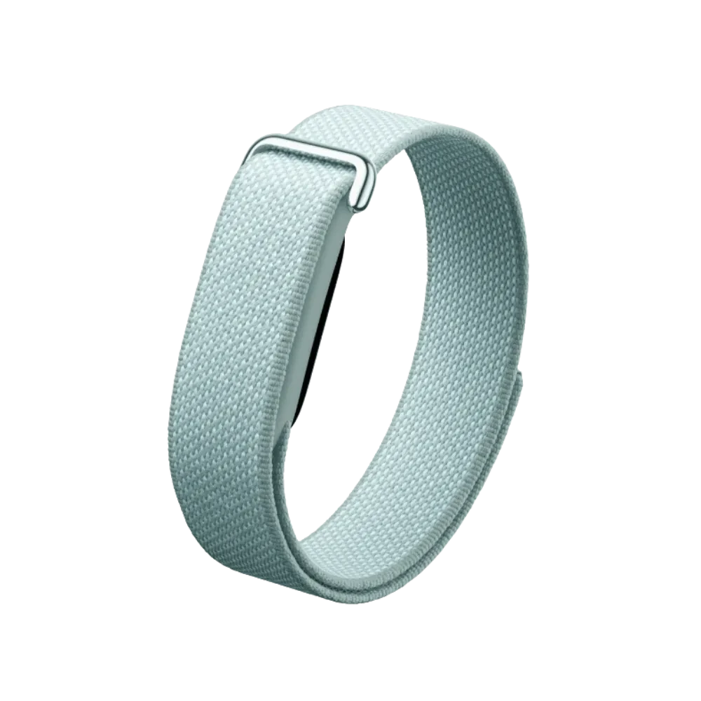 Google Fitbit Air Classic